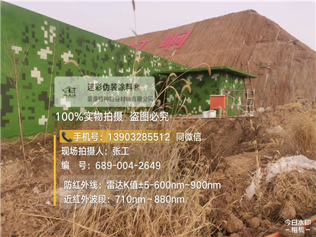 青岛星空迷彩墙施工队