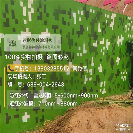 青岛星空迷彩漆，夏令营训练,数码迷彩作训墙,围墙